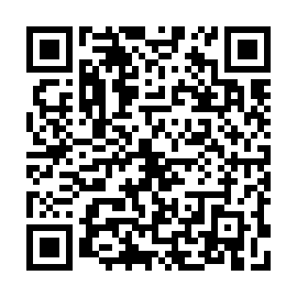 QR 20294b1