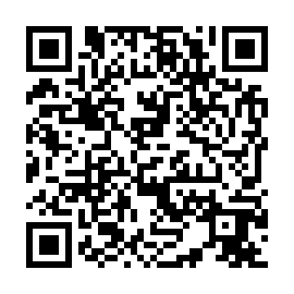 QR 205a389