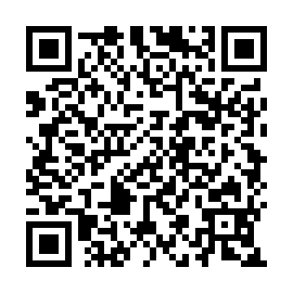 QR 206caa0