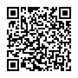 QR 207ab08
