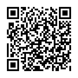 QR 207b534