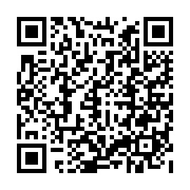 QR 20a0e65