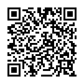 QR 213128d