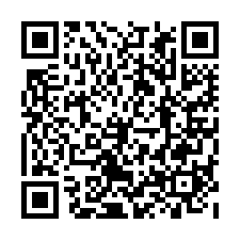 QR 21339dd