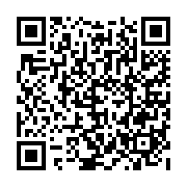 QR 213e87e