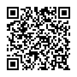 QR 217a405