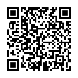 QR 217a919