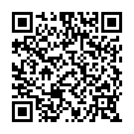 QR 217ab3c