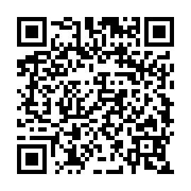 QR 217b4a4