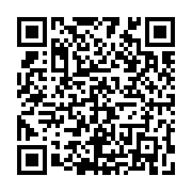 QR 21e6c8b