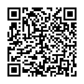 QR 231c393