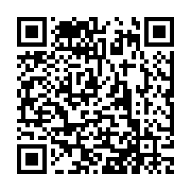 QR 233c0eb