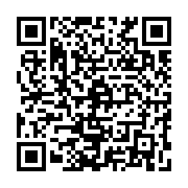 QR 237ec95