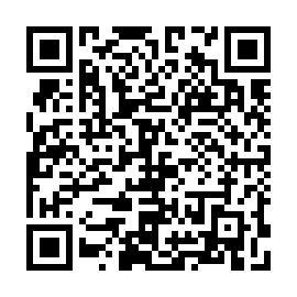 QR 238379c