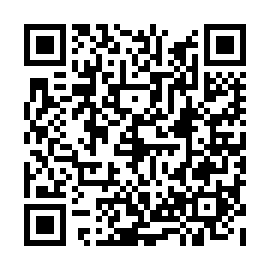QR 238838e