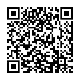 QR 2393fe6