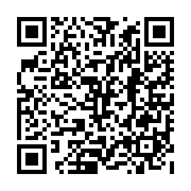 QR 23a3253