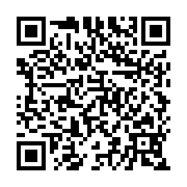 QR 23fe291