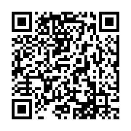 QR 2493ae7