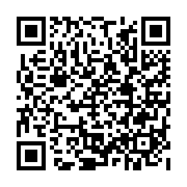 QR 24b8e38