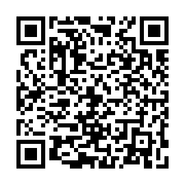 QR 24be541