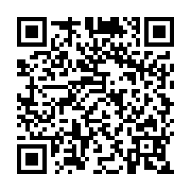 QR 2520541