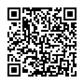 QR 256bcc6