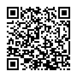 QR 256e85b