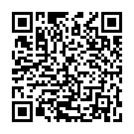 QR 271d4e8