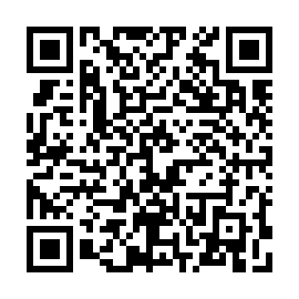 QR 2733e0b
