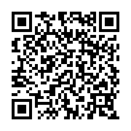 QR 289aa37