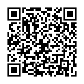 QR 28c3e31