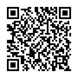 QR 290ae60