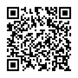 QR 290d93b