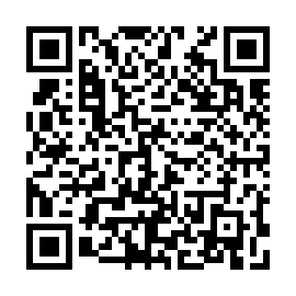 QR 29194bb