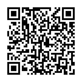 QR 291a17f