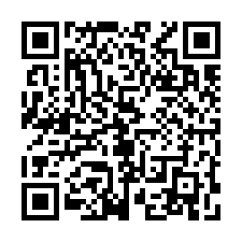 QR 291c4e0