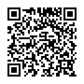 QR 291ca81