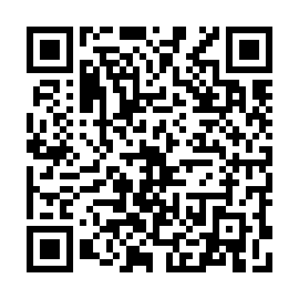 QR 291fefd