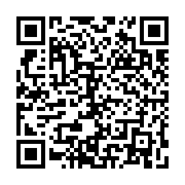 QR 2924133