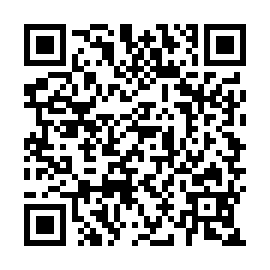 QR 29290ae