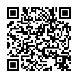 QR 293ff39