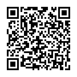 QR 294010a