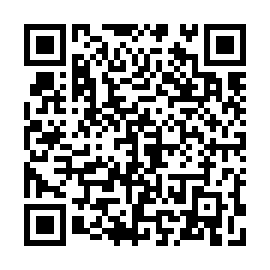 QR 294553b