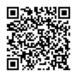 QR 294d4c4