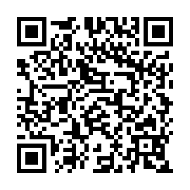 QR 294daaa
