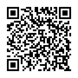 QR 294e1dd