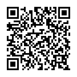 QR 295144b
