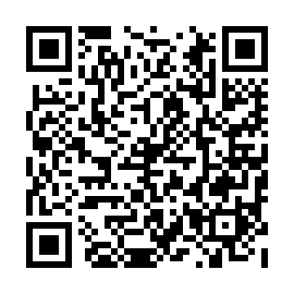 QR 295207a