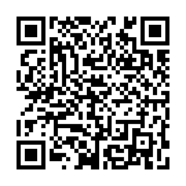QR 2953cc0